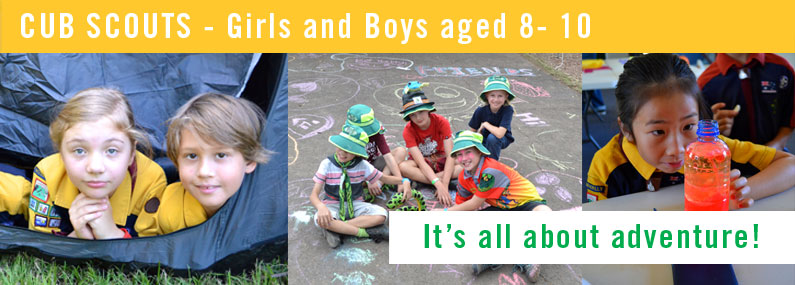 Parkwood Heights Cub Scouts