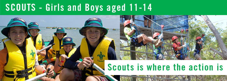 Parkwood Heights Scouts